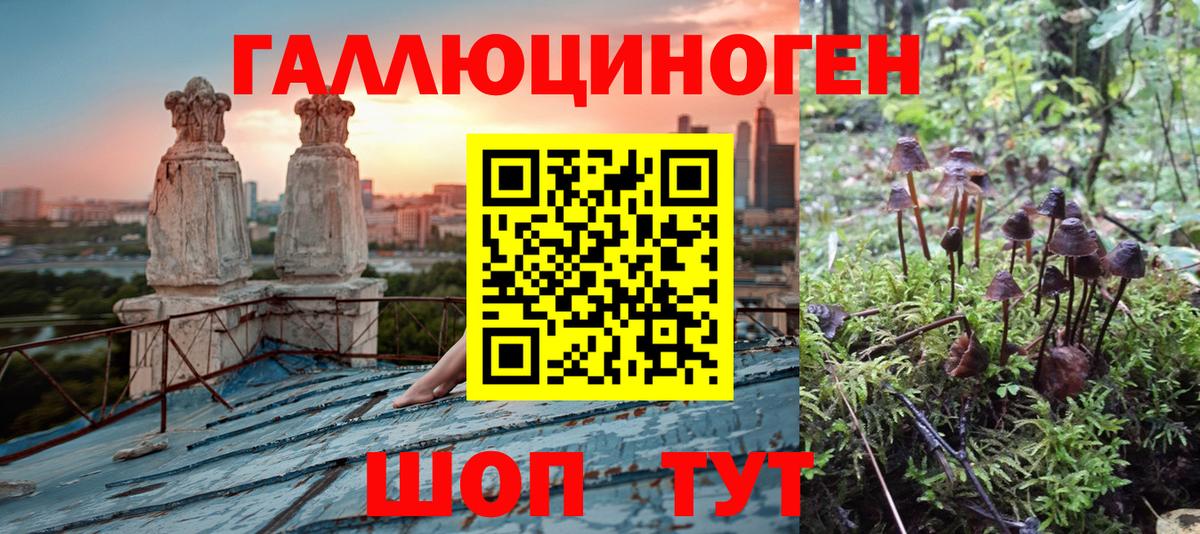 где купить наркотик  Псилоцибиновые грибы ЛСД  Вход с VPN  Ликино-Дулёво  Псилоцибиновые грибы Psilocybine cubensis 
